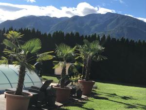 V Gemütliches Gartenhaus