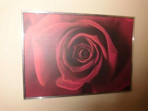 Appartements Haus Schmalzl