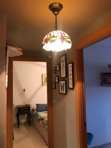 SANFAINA DE GATS