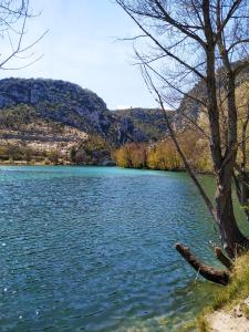 Appartements GITE AU COEUR DES GORGES DU VERDON : photos des chambres