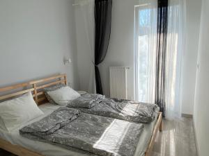 Ekologiczny z Ogródkiem