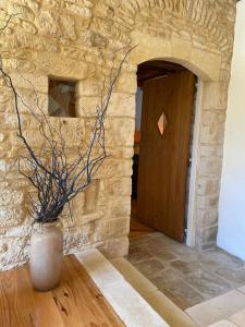 Maisons de vacances Le logis de Contie : photos des chambres