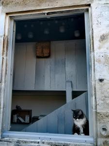 Maisons d'hotes La Belle Amarre-Bed and Breakfast-Maison d'Hotes : Suite Deluxe