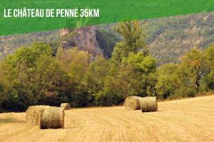 Maisons de vacances Le Gite Nature Bien-Etre du Tarn entre Toulouse et Albi & Les Cottages du Tarn : photos des chambres