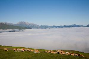 Hotels Hotel Le Viscos : photos des chambres