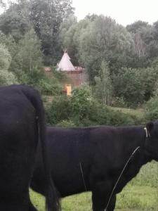 Ubytování v teepee