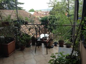 Polonia Tbilisi House