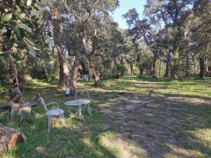 Appartements Les Pierres De La Massane - Vue sur les Alberes : photos des chambres