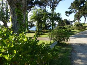 Campings Aire de camping car, caravane, tente emplacement nu avec electricite petit camping : photos des chambres