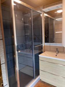 Appartements Grand appartement aux SAISIES : photos des chambres