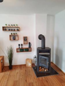 Apartment Fischer mit Privatstrand