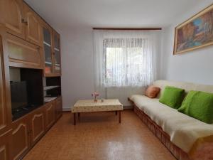 Bela golobica Bogojina 