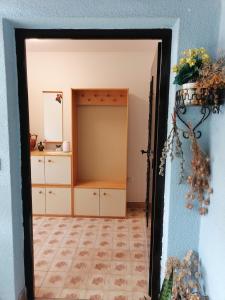 Bela golobica Bogojina