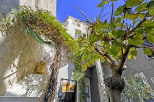 Maisons d'hotes Maison Capucine : photos des chambres