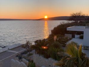 Palms & Beach Maslenica