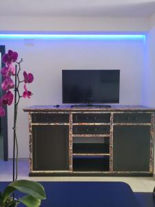 Meduse Holiday IUNQ5361