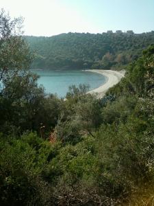 Villa Paradise Ammouliani Greece