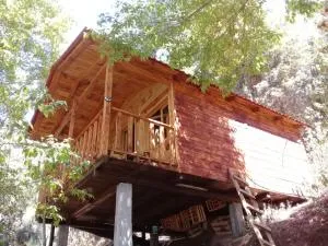 Cabaña en el Bosque de San José del Pacifico 2 - Labor