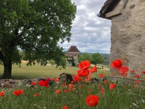 Hotels Hotel Les Vieilles Tours Rocamadour : photos des chambres