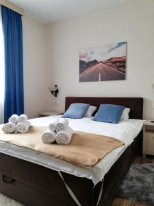 Apartmani Borova Iglica Divčibare