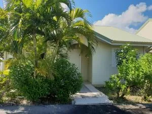 LES FLAMBOYANTS - Baréto