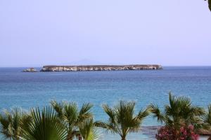 Blue Dolphin Paros Greece