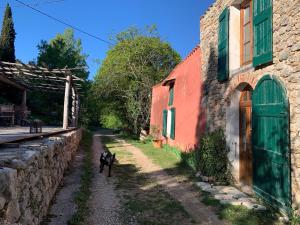 Maisons de vacances Bergerie de charme a Moustiers : photos des chambres