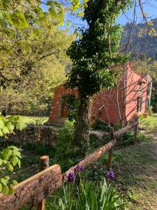 Maisons de vacances Bergerie de charme a Moustiers : photos des chambres