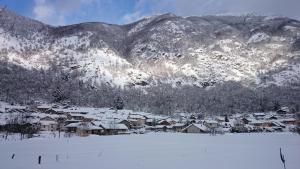 Maisons de vacances Chalets et gites d'Orlu : photos des chambres