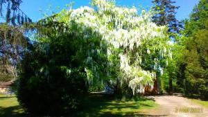 Maisons d'hotes Le Clos des Palombes : photos des chambres