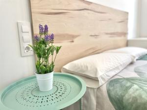 Double or Twin Room room in La Despensa de la Corredera