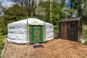 Pembrokeshire Yurts - Badger - Llanglydwen