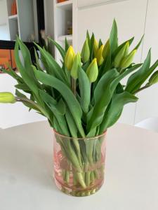 Luxe studiosuite met zeezicht en volle zon