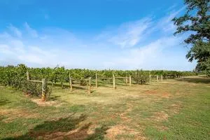 Milawa Vineyard Views - Guesthouse 2 - Wangaratta