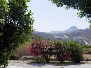 Majestic Blue - House with garden! Milos Greece