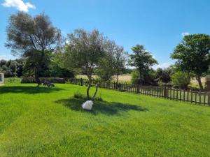 LU ANTU alloggi agrituristici img18