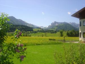 Bio-Bauernhof Bachangerhof