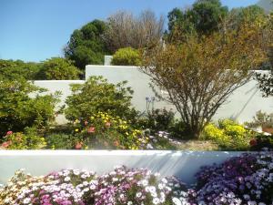 Majestic Blue - House with garden! Milos Greece