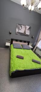 Standard Double Room room in Mini-hotel NaNi