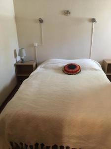 Les pins ensoleilles