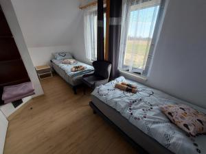 Nowa Śluza
