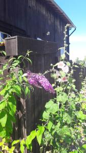 Appartements Le grenier a sel : photos des chambres