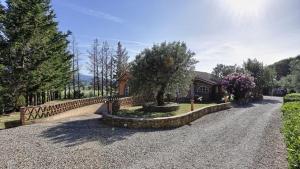 Virginia 8, Emma Villas