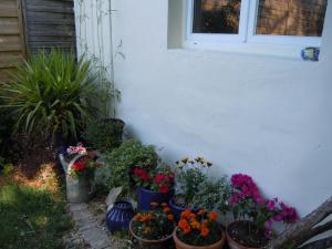 Appartements Wisteria : photos des chambres