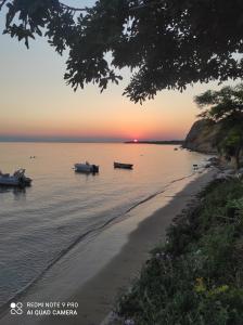 Sunrise Vergia Apartments