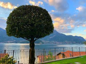Residence Molinari Lake Como