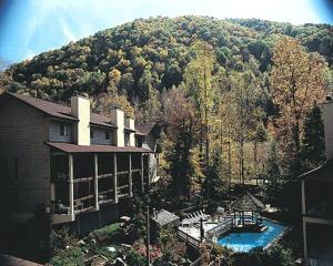 Two-Bedroom Apartment room in Secluded Family Condo in the Beauty of the Smokies - Two Bedroom #1