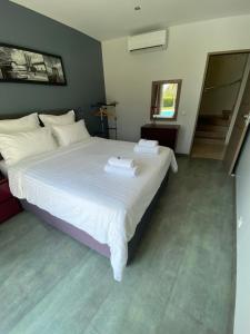 Villas Diamond Villa 5 Star - NICE : photos des chambres