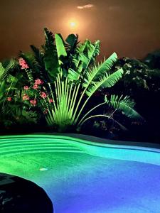 Casa Biulú - 4hvězdičkové hotely ve městě Zipolite