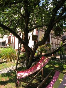 Le Jardin de l'Ill photo 15